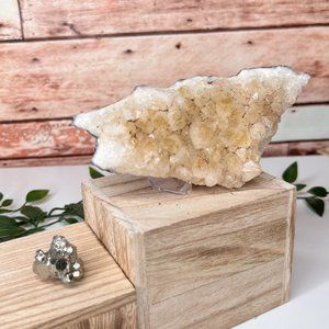 Citrine & Pyrite Crystal Bundle, Abundance Crystal Set, Citrine and Pyrite